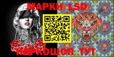 индика Вышний Волочёк