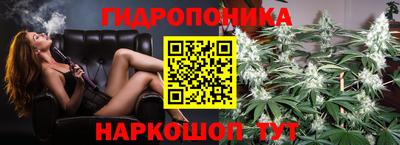 гашишное масло Гудермес