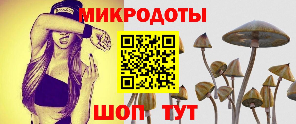 Псилоцибиновые грибы прущие грибы  Псилоцибиновые грибы MAGIC MUSHROOMS  Усть-Кут  Вход с VPN 